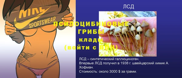 спайс Алексин