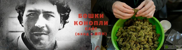 скорость Алзамай