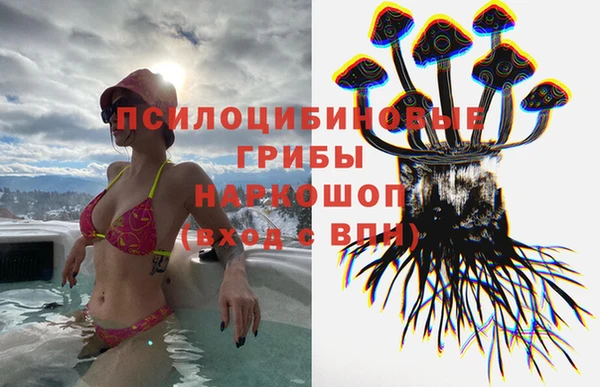 спайс Алексин