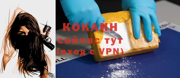 спайс Алексин