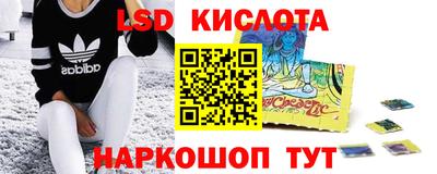 прущие грибы Краснокаменск