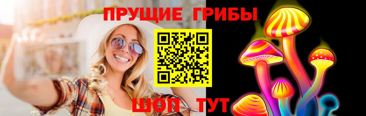 Псилоцибиновые грибы Psilocybe Санкт-Петербург